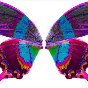 Pixie Dust image 0