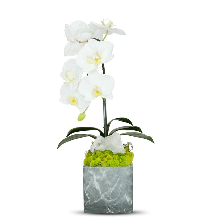 Single White Orchid with Quartz in Grey Marble Container image 0