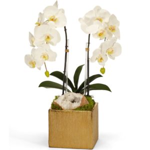 White Double Orchid in Gold Square image 0