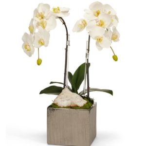 White Double Orchid in Silver Square image 0