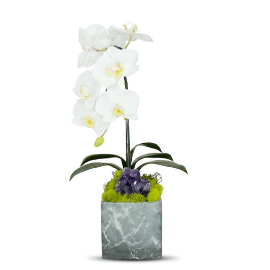 Single White Orchid with Amethyst in Black Marble Container image 0
