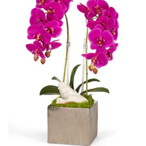 Fuchsia Double Orchid in Silver Square image 0