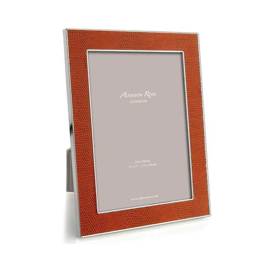 Orange Snake & Silver Frame image 0