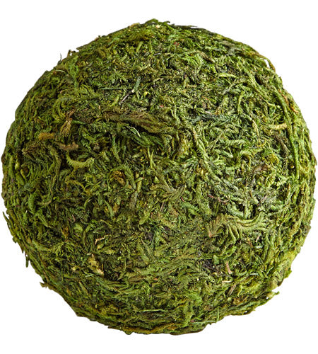 Bermuda Moss Filler - Medium image