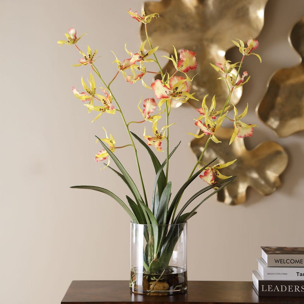 UTTERMOST Spider Orchid