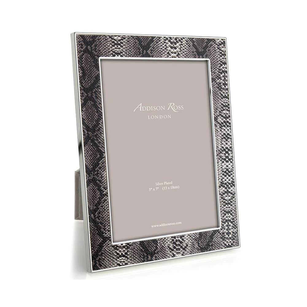 Snake & Silver Frame image 0