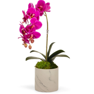 Single Orchid - White Marble Container image 0