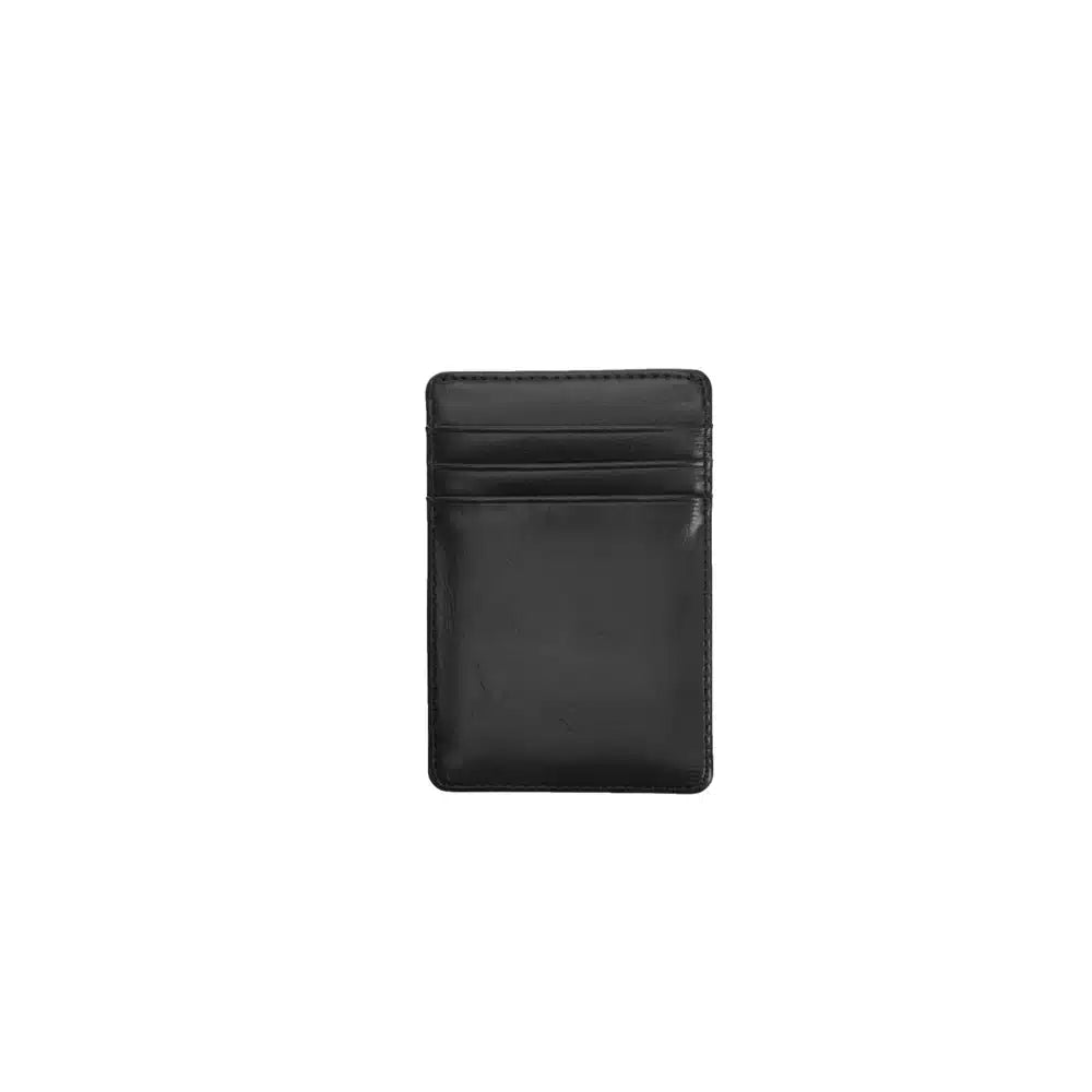 Asher Magnetic Money Clip - Black image