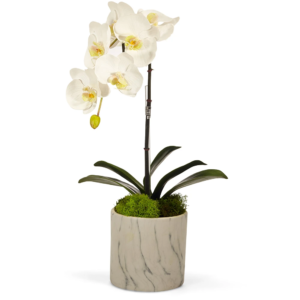 Single Orchid - White Marble Container image 0